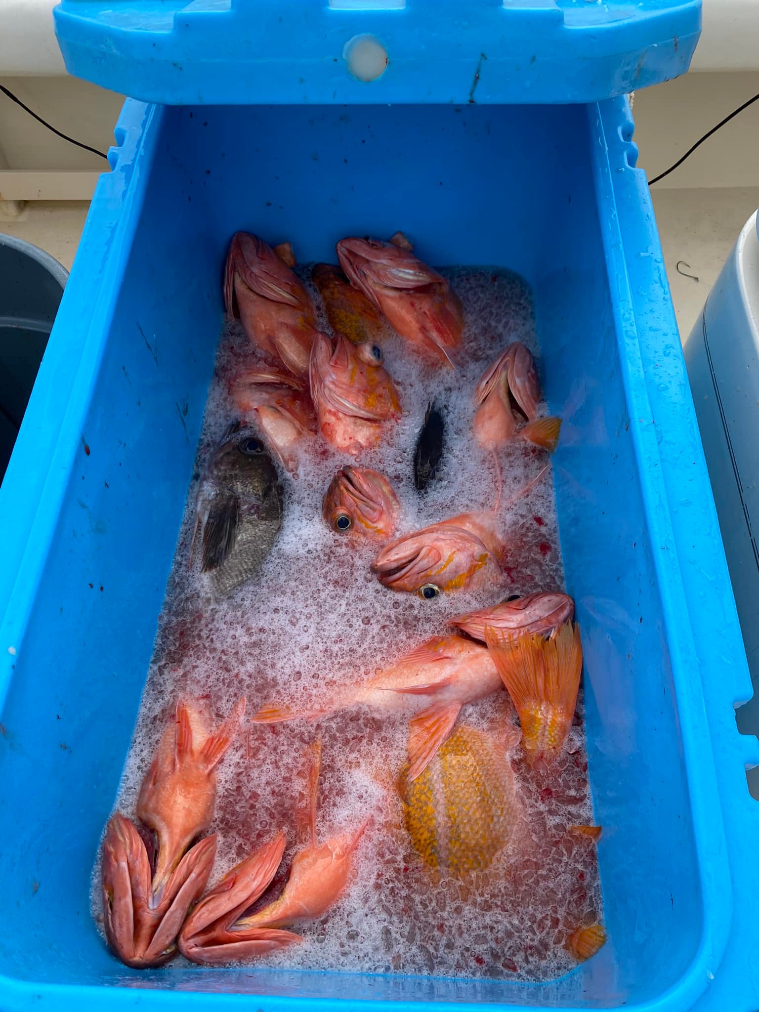 285654201_5075918002444045_911893354156341491_n