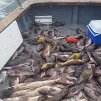 458190310_3759305260954954_6879510905315902512_n