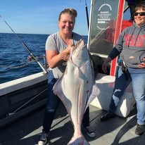 60334717_2321081358110692_610235490355904512_n