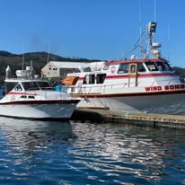 91221228_2574285219456970_4059738499908108288_n