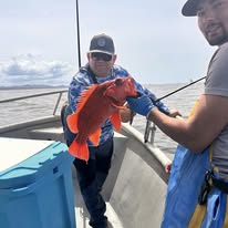 495726057_1088897366595672_7195107350391456989_n